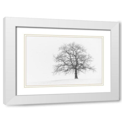 Wintersturm I White Modern Wood Framed Art Print with Double Matting by Steger, Uwe
