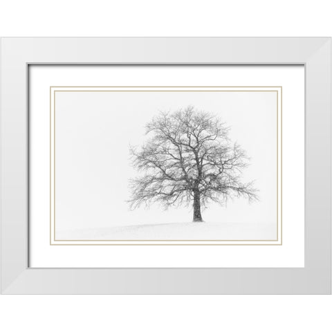 Wintersturm I White Modern Wood Framed Art Print with Double Matting by Steger, Uwe