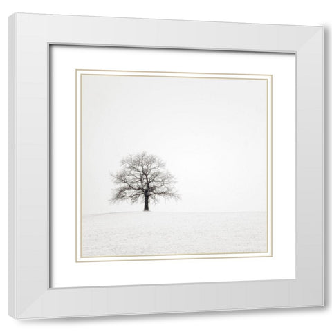 Wintersturm II White Modern Wood Framed Art Print with Double Matting by Steger, Uwe