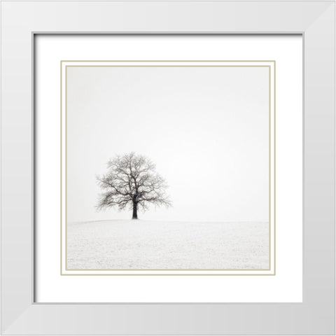 Wintersturm II White Modern Wood Framed Art Print with Double Matting by Steger, Uwe
