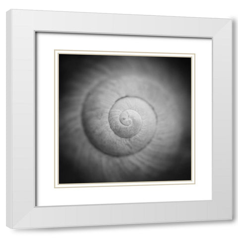 Mystic White Modern Wood Framed Art Print with Double Matting by Steger, Uwe