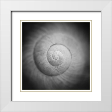 Mystic White Modern Wood Framed Art Print with Double Matting by Steger, Uwe