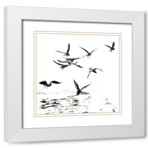 Black and White White Modern Wood Framed Art Print with Double Matting by Steger, Uwe