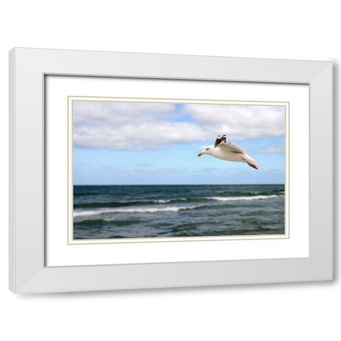 Lonely Bird White Modern Wood Framed Art Print with Double Matting by Steger, Uwe
