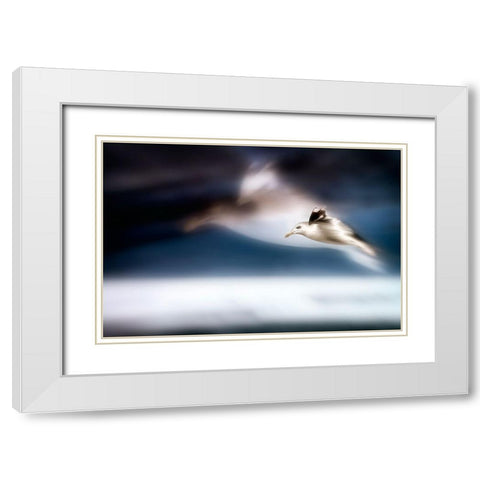 Dreamfly White Modern Wood Framed Art Print with Double Matting by Steger, Uwe