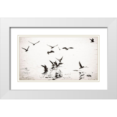 White and Black White Modern Wood Framed Art Print with Double Matting by Steger, Uwe