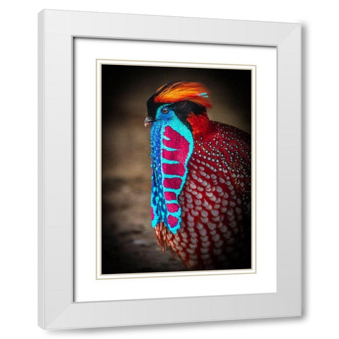 Tropical Bird White Modern Wood Framed Art Print with Double Matting by Ronin