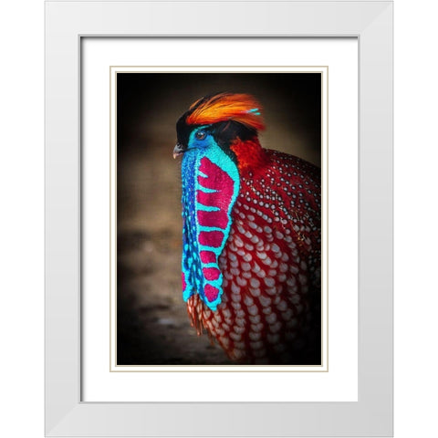 Tropical Bird White Modern Wood Framed Art Print with Double Matting by Ronin