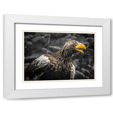 Stellar Eagle White Modern Wood Framed Art Print with Double Matting by Ronin