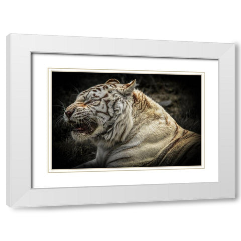 The Lygar White Modern Wood Framed Art Print with Double Matting by Ronin