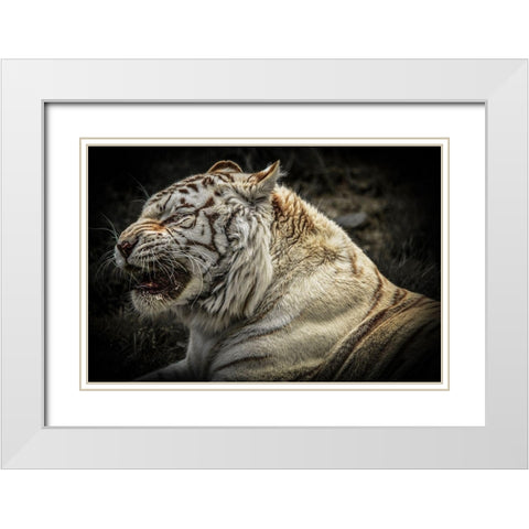 The Lygar White Modern Wood Framed Art Print with Double Matting by Ronin