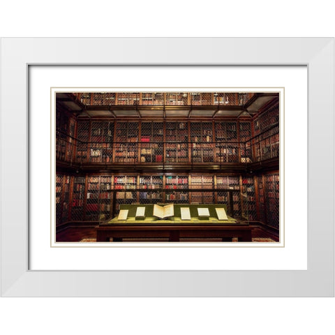 Library Room White Modern Wood Framed Art Print with Double Matting by Ronin