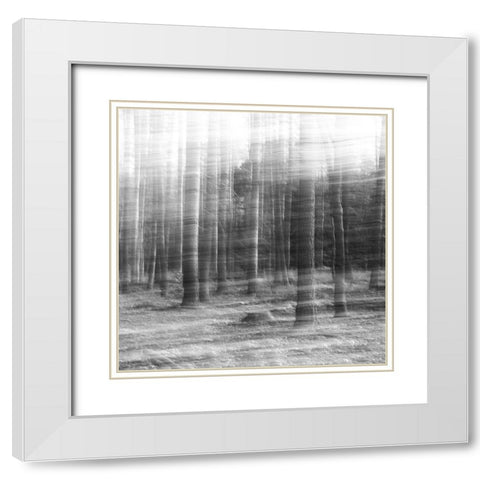 Day Break White Modern Wood Framed Art Print with Double Matting by Stein, Oliver