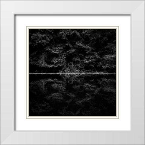 Necropolis White Modern Wood Framed Art Print with Double Matting by Stein, Oliver