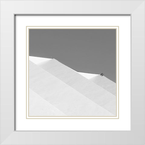 Three Doves White Modern Wood Framed Art Print with Double Matting by Stein, Oliver