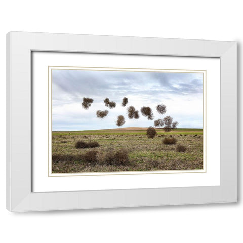 Pause NÃºmero II White Modern Wood Framed Art Print with Double Matting by Vallinas Prieto, Miguel