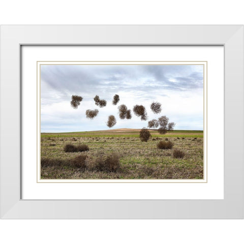 Pause NÃºmero II White Modern Wood Framed Art Print with Double Matting by Vallinas Prieto, Miguel
