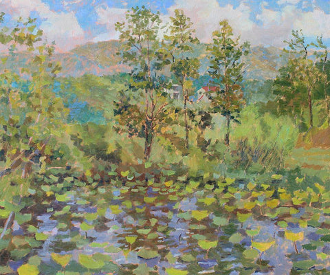 Nimrod Bath County Lily Pad White Modern Wood Framed Art Print with Double Matting by Bality, Andras