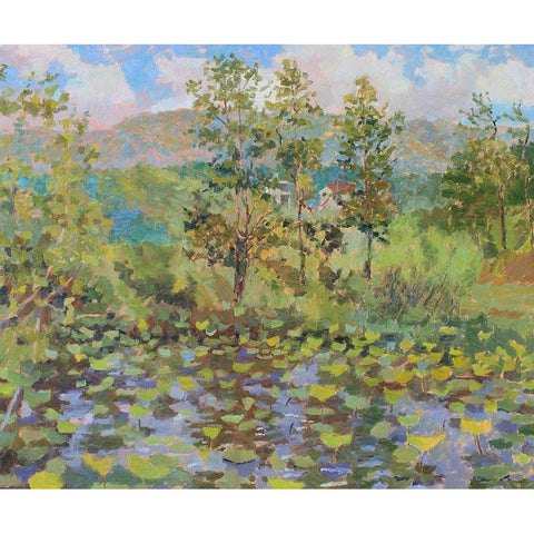Nimrod Bath County Lily Pad Black Modern Wood Framed Art Print with Double Matting by Bality, Andras