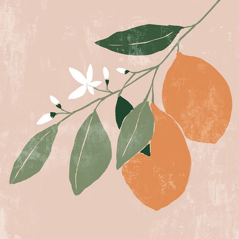 Orange Branch II Black Modern Wood Framed Art Print by Aria K