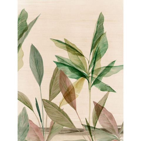 Colourful Tropics II  Black Modern Wood Framed Art Print by Aria K