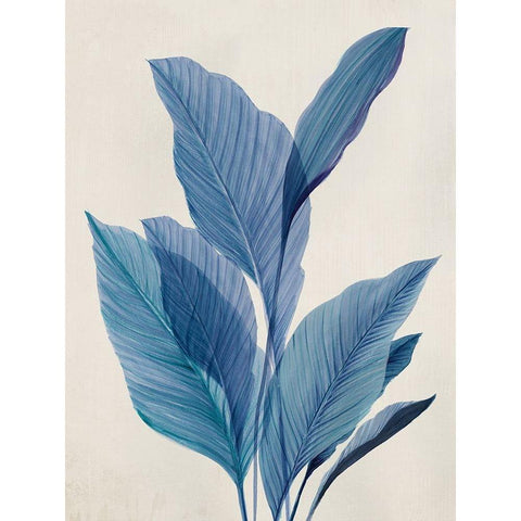Blue Palm Leaves I  Black Modern Wood Framed Art Print with Double Matting by Aria K