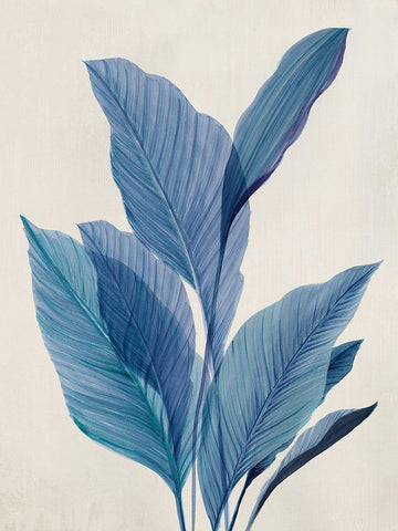 Blue Palm Leaves I  White Modern Wood Framed Art Print with Double Matting by Aria K
