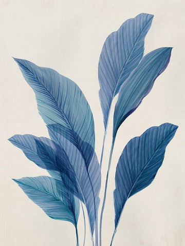 Blue Palm Leaves II White Modern Wood Framed Art Print with Double Matting by Aria K