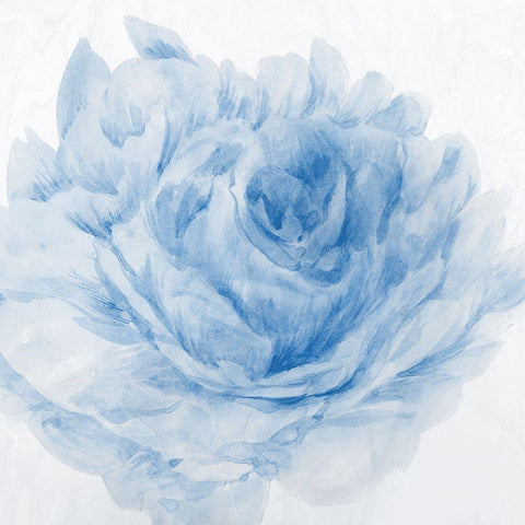 Peony Blue I  Black Ornate Wood Framed Art Print with Double Matting by Aria K