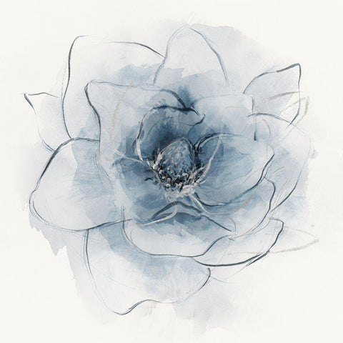 Blue Line Floral I Black Modern Wood Framed Art Print by Aria K