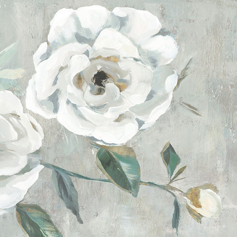 White Floral I White Modern Wood Framed Art Print with Double Matting by Aria K