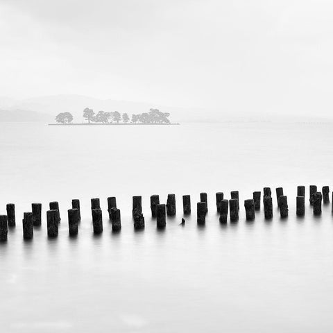 Island and Tree Black Modern Wood Framed Art Print with Double Matting by Praxis Studio