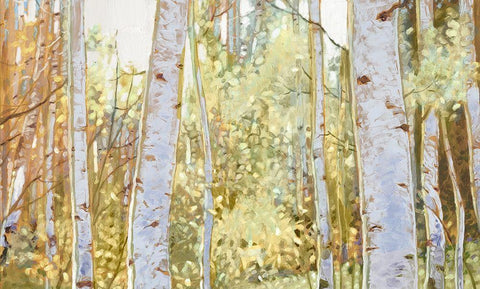 Summer Birch I  Black Ornate Wood Framed Art Print with Double Matting by Del Rizzo, Anthony