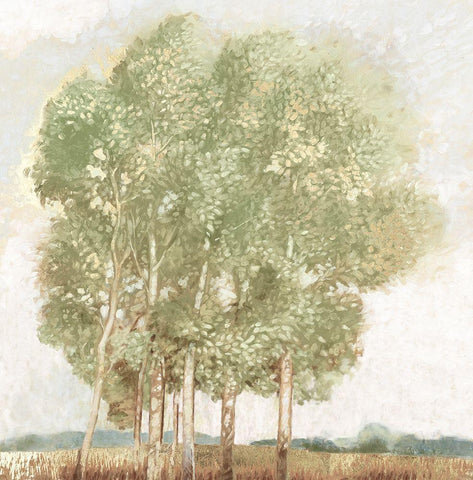 Willowdale White Modern Wood Framed Art Print with Double Matting by Del Rizzo, Anthony