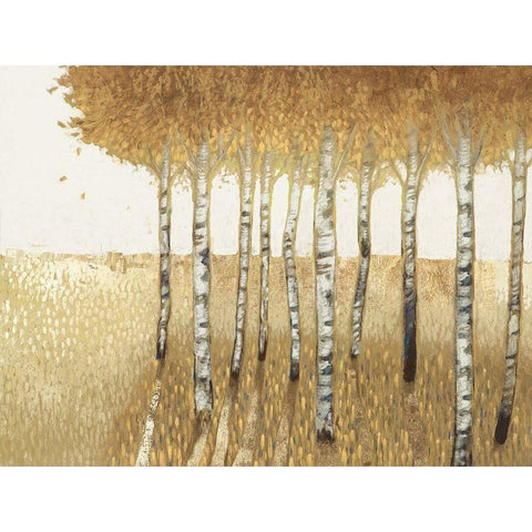 Sunset Walk  White Modern Wood Framed Art Print by Del Rizzo, Anthony