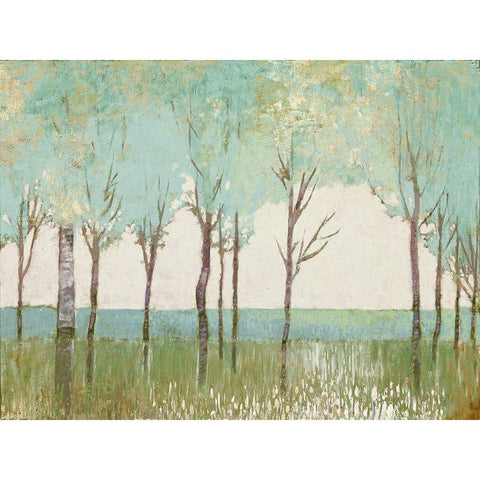 Evergreen Wanderlust I  Black Modern Wood Framed Art Print by Del Rizzo, Anthony