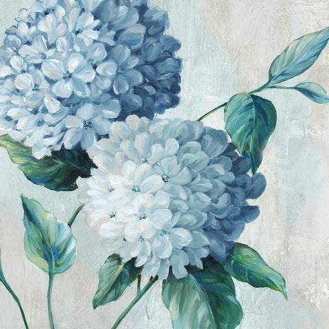 Blue Hydrangea Blooms II Black Modern Wood Framed Art Print with Double Matting by Black, Alex