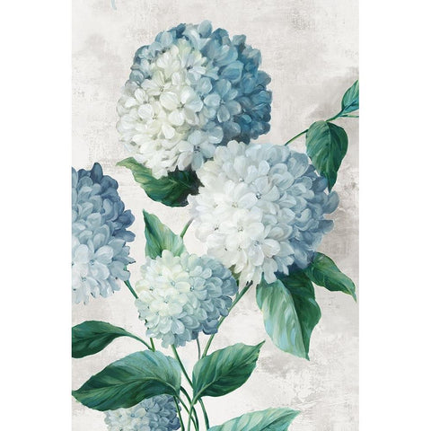 Blue Hydrangea Florals White Modern Wood Framed Art Print by Black, Alex