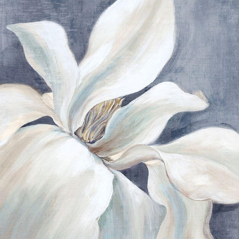 Natures Beauty White Modern Wood Framed Art Print by Black, Alex