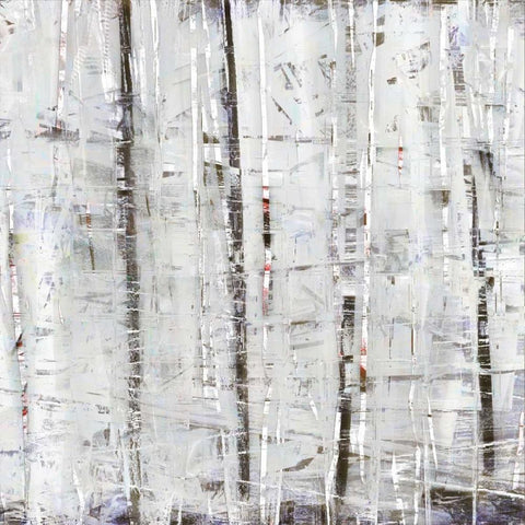 Birch Perspective Grey IV White Modern Wood Framed Art Print by Bingham, John