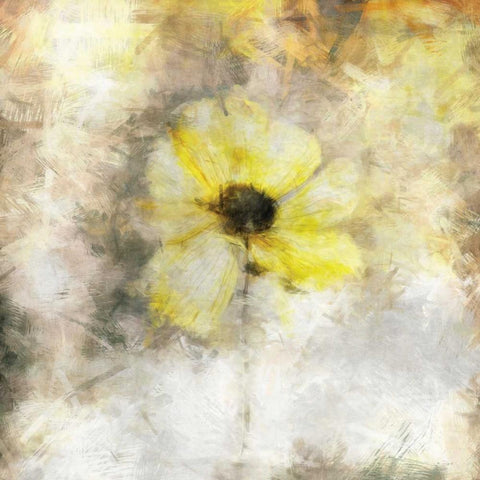 Sepia Bloom IV Black Modern Wood Framed Art Print by Bingham, John