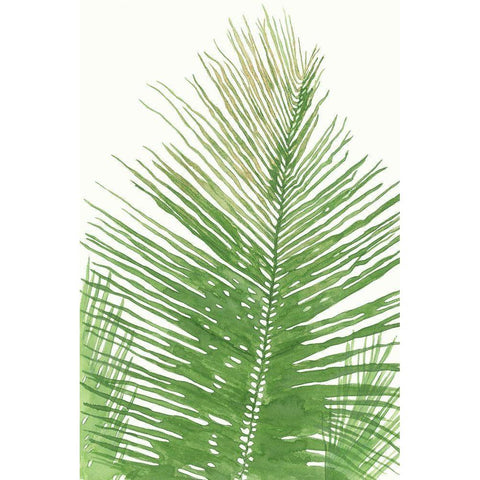 Palma da Cocco Black Modern Wood Framed Art Print by Errico and Slyp