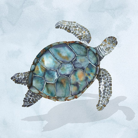 Blue Sea Turtle I White Modern Wood Framed Art Print with Double Matting by Errico And Slyp