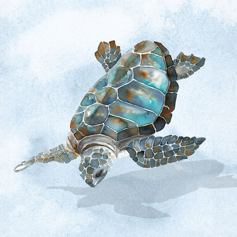 Blue Sea Turtle II Black Ornate Wood Framed Art Print with Double Matting by Errico And Slyp