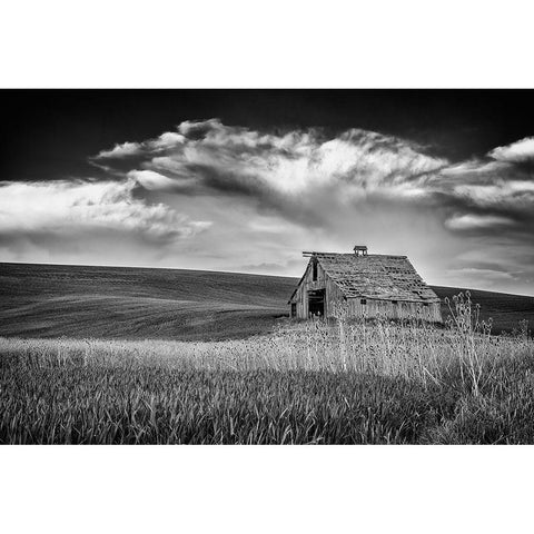 Old Barn Sunset Gold Ornate Wood Framed Art Print with Double Matting by Berk