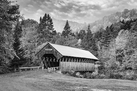 Bennett Bridge Black Ornate Wood Framed Art Print with Double Matting by Berk
