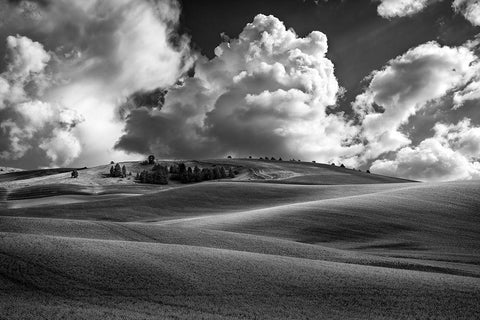 Palouse Bliss White Modern Wood Framed Art Print with Double Matting by Berk