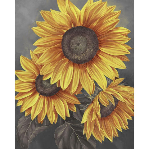 We are the sun I Black Modern Wood Framed Art Print by Broome, Marianne
