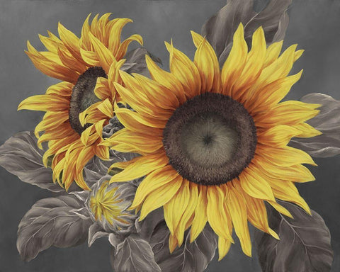 We are the sun III Black Ornate Wood Framed Art Print with Double Matting by Broome, Marianne