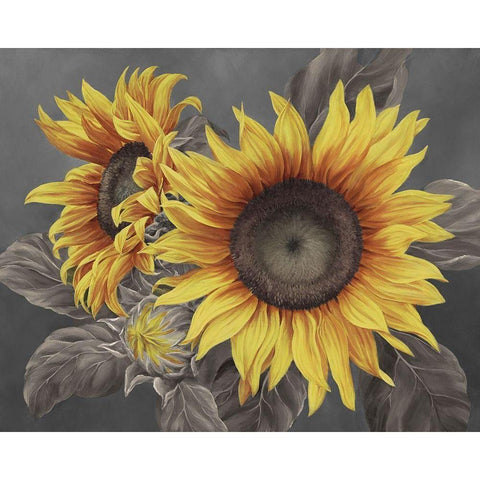 We are the sun III Black Modern Wood Framed Art Print with Double Matting by Broome, Marianne